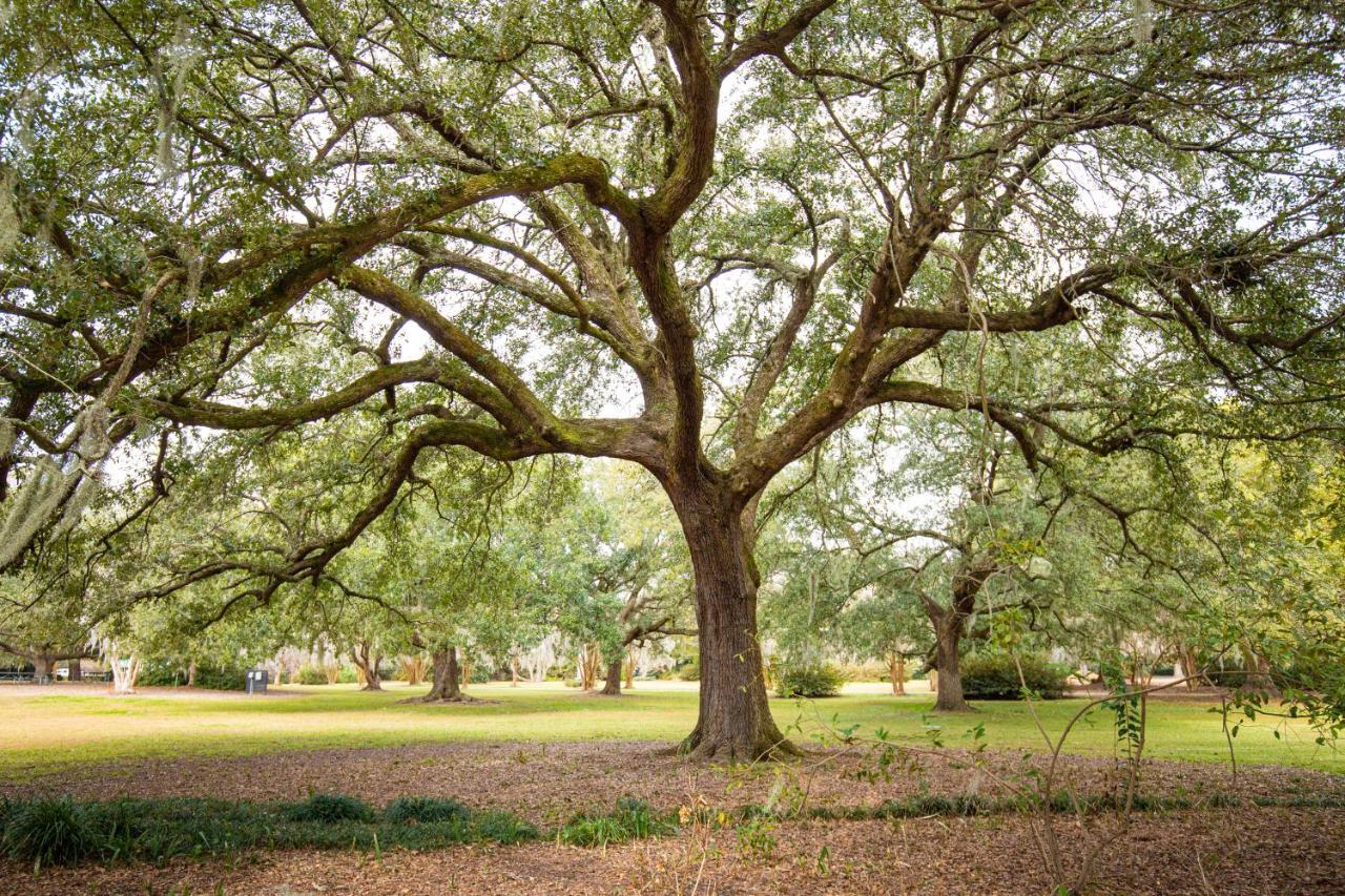 Willa 4 Bee St Charleston Zewnętrze zdjęcie